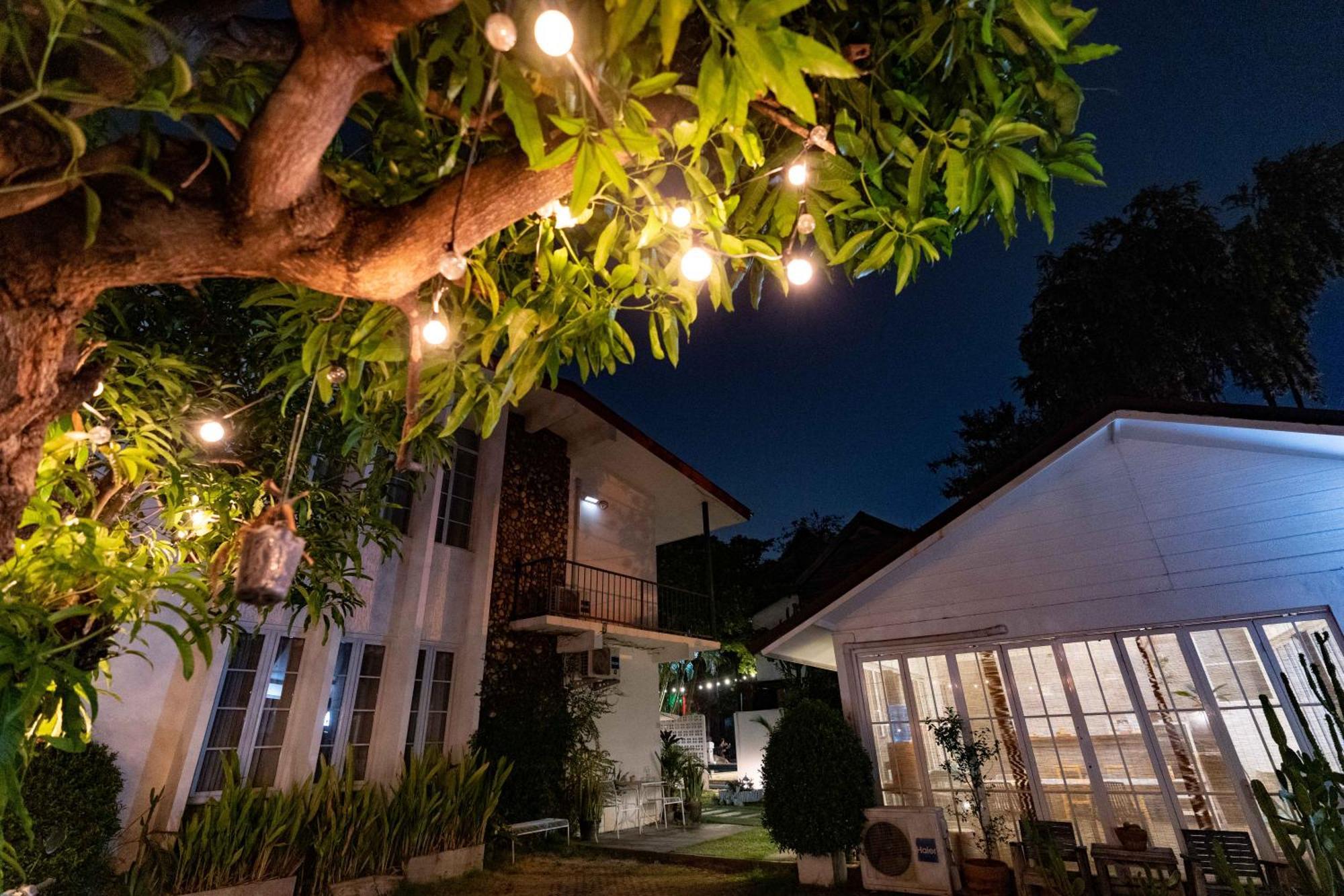 Mammoth Boutique Hotel — Photos 3